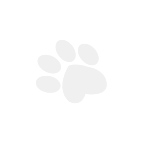 hondenras beeldje chihuahua langhaar zwart