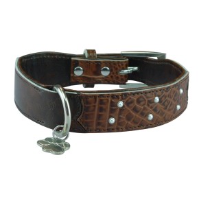 Halsband Croco