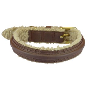 Halsband PU en Teddy