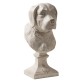 Buste Retriever Blanc