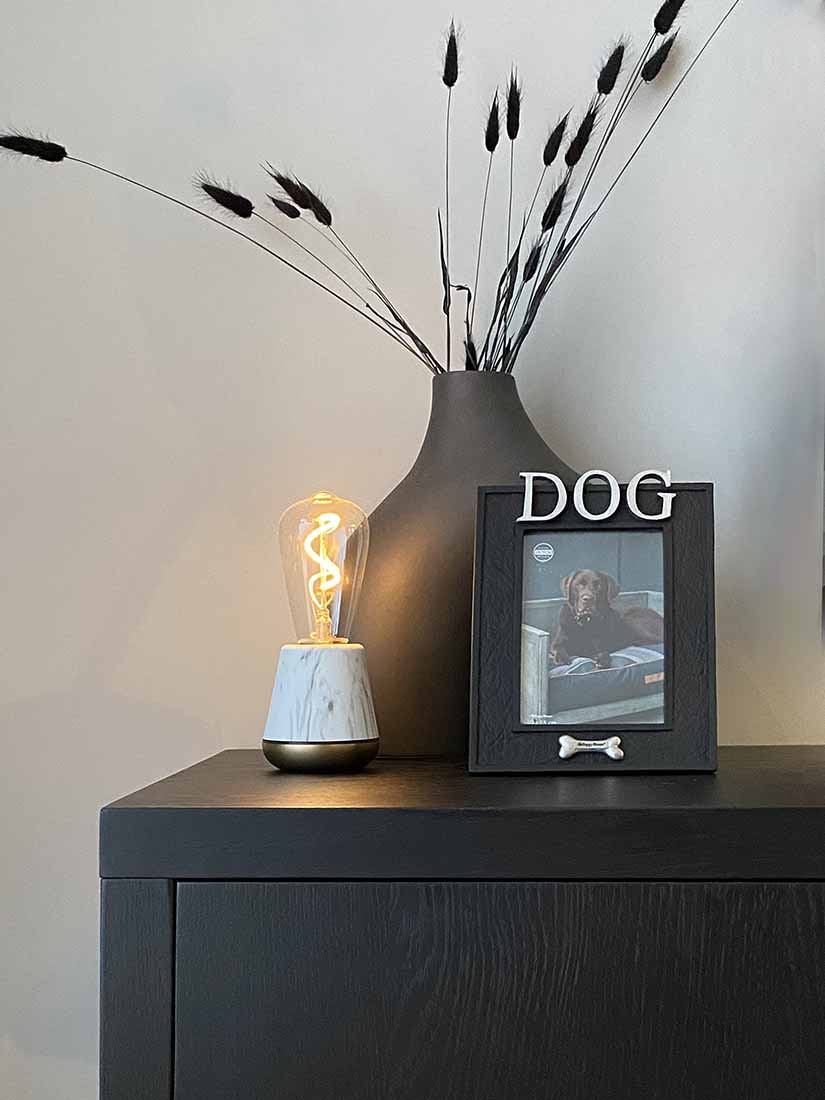 cadre photo dog chien noirargent