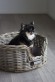 Classic Rattan Basket S Oval