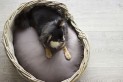 Classic Rattan Basket S Oval