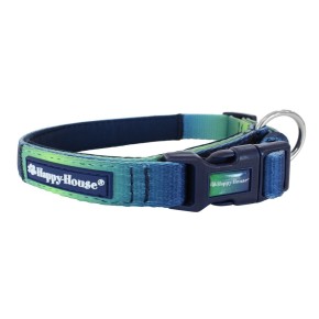 Collar Nylon Rainbow green-blue 