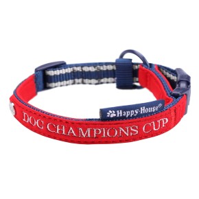 Collar Nylon Sportive red