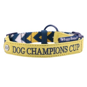 Collar Nylon Sportive yellow 