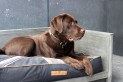 Coussin bloc Collection Drapeau M Gris