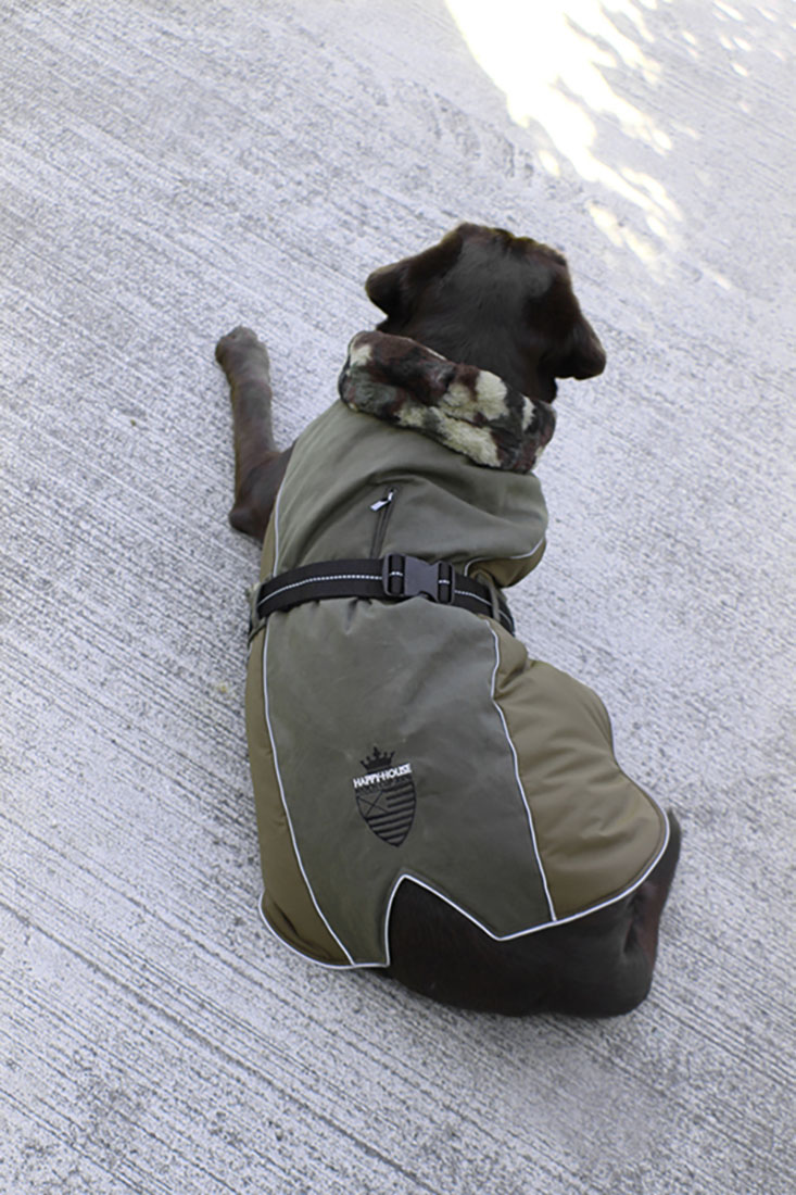 dogfashion jacket army star size 28