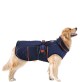 dogfashion jacket royal blue size 60