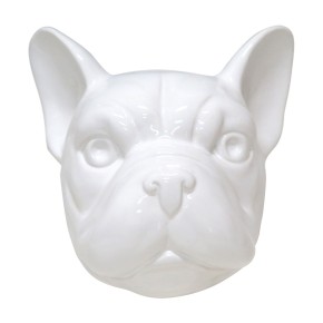 Head French Bulldog Shiney White Head French Bulldog Shiney White
