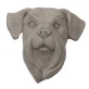 Head Schnauzer white