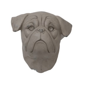 Kopf Bulldogge (Weiß)