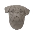 Kopf Bulldogge (Weiß)