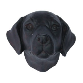 Kopf Retriever (Schwarz)