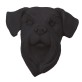 Kopf Schnautzer Schwarz
