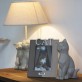 lamp dog cat