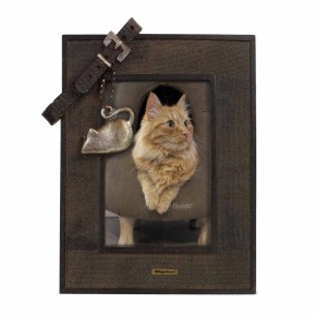 Picture frame with collar cat