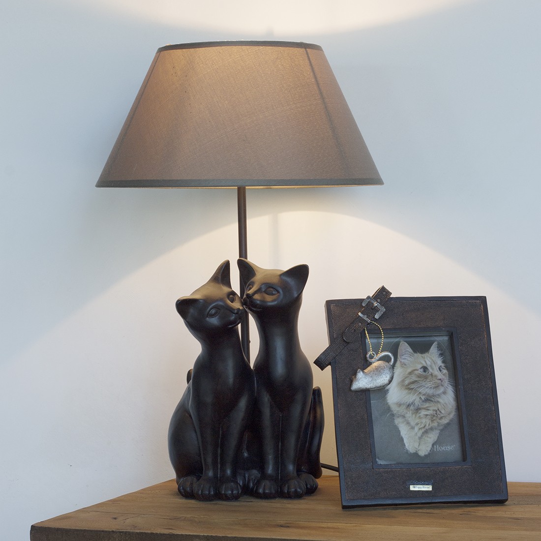picture frame with collar cat