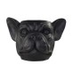 Planter Bulldog head black