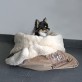 Sac à Calins Cute Pets Taupe