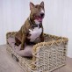 Sofa en Rotin avec bord en Corde S Rectangle