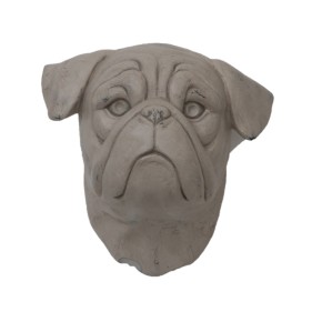 Tête Bulldog (Blanc)