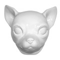 Tête Chihuahua Blanc Brillant