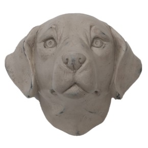 Tête Retriever (Blanc)