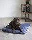 Tapis Strong M Bleu foncé