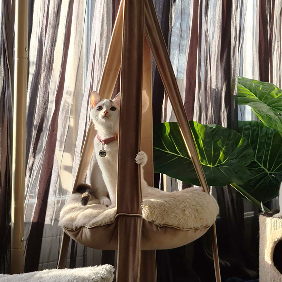 trapeze cute pets taupe