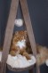 Trapeze Cute Pets Taupe